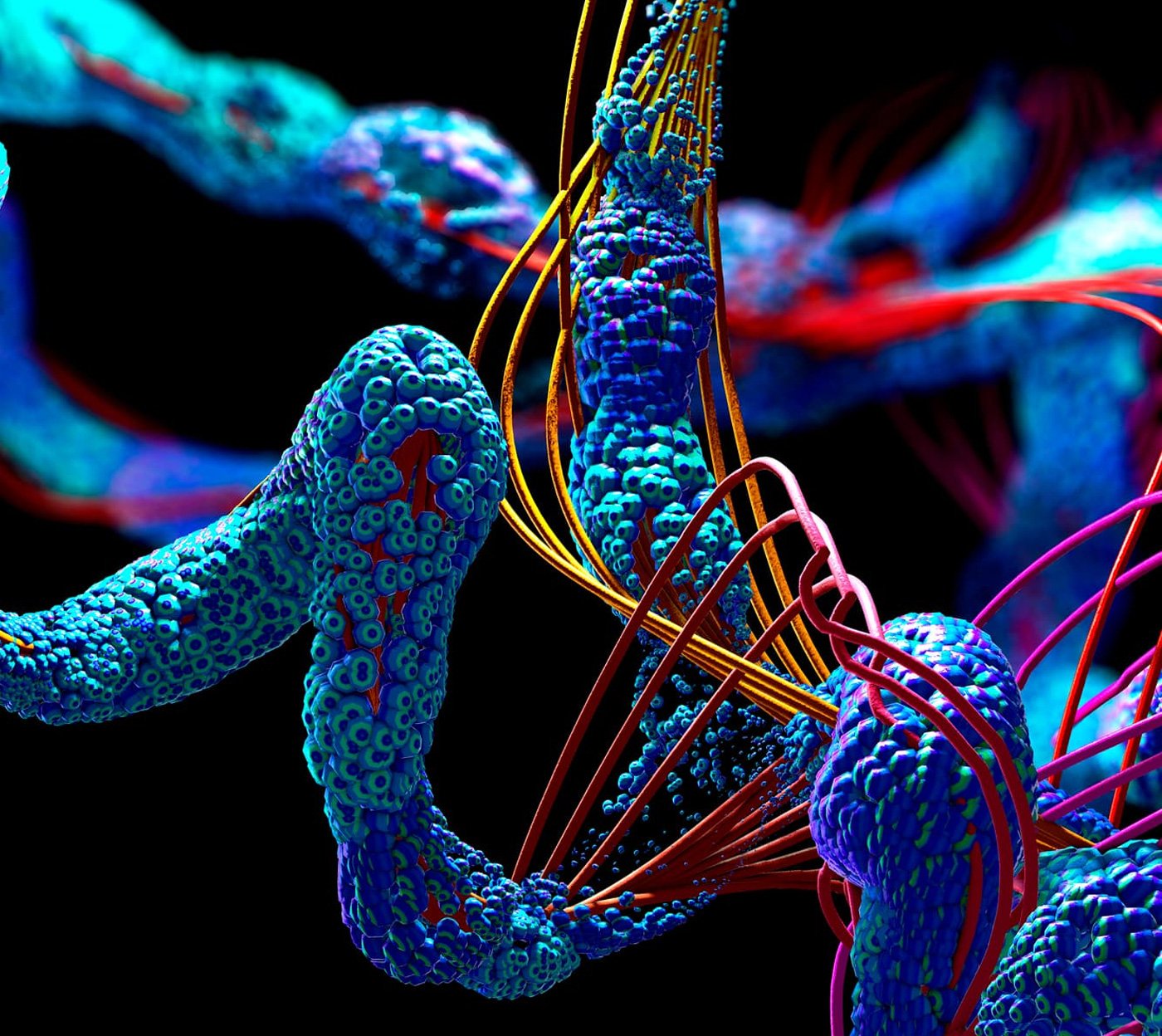 Acetate-consortium-hero