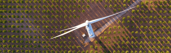 Ammonia can become the CO2-free fuel of the future featured Image