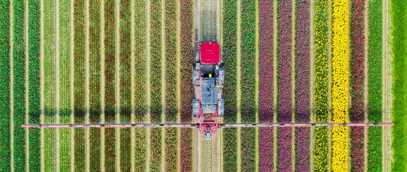 Growing greener: how green ammonia can improve global food security featured Image