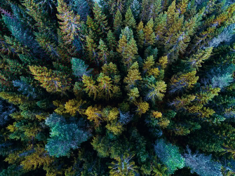 Investor | Hybrid securities 2024