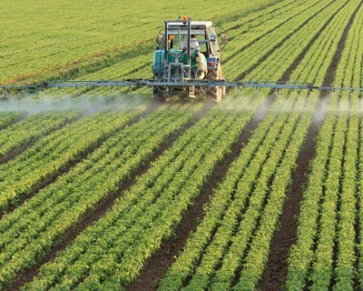 Green ammonia