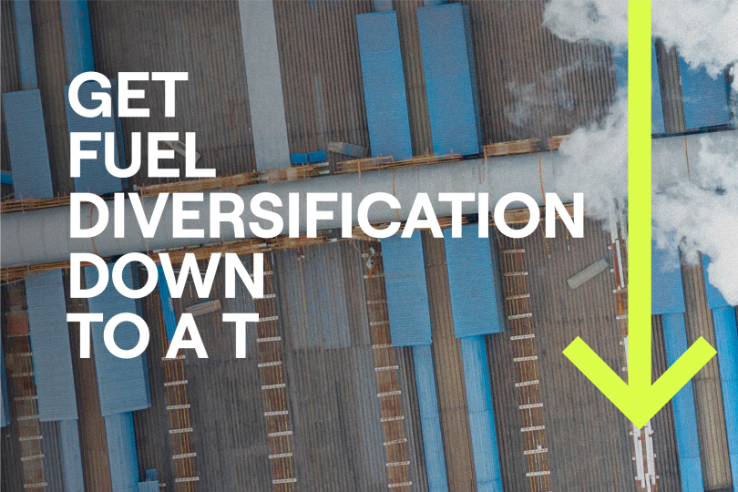 Industrial piping and steel-structure view inside a U.S. energy-intensive facility