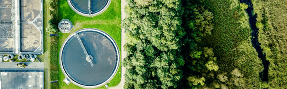 Making next-generation renewable biofuels competitive featured Image