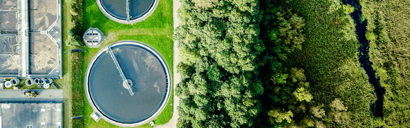 Making next-generation renewable biofuels competitive