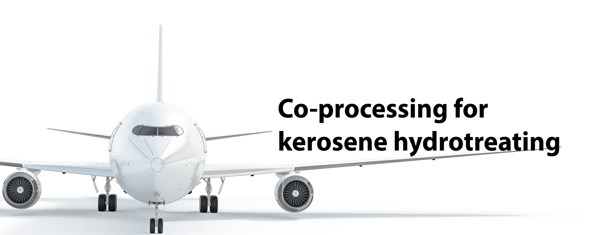 NYNYairplane front view - Copy-1