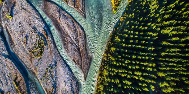 COP28: Now it's time for action