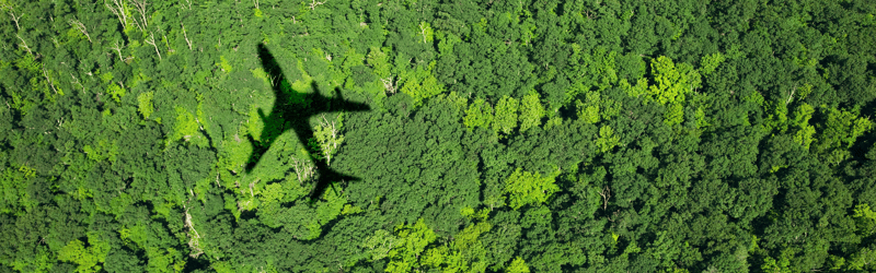 Your guide to electrolysis: the tech behind the green hydrogen revolution