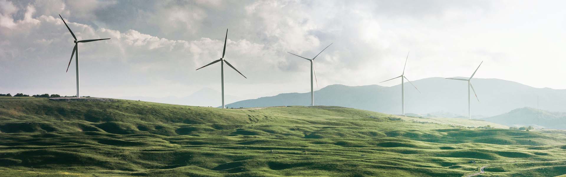 green ammonia landing page update 1920x600-4