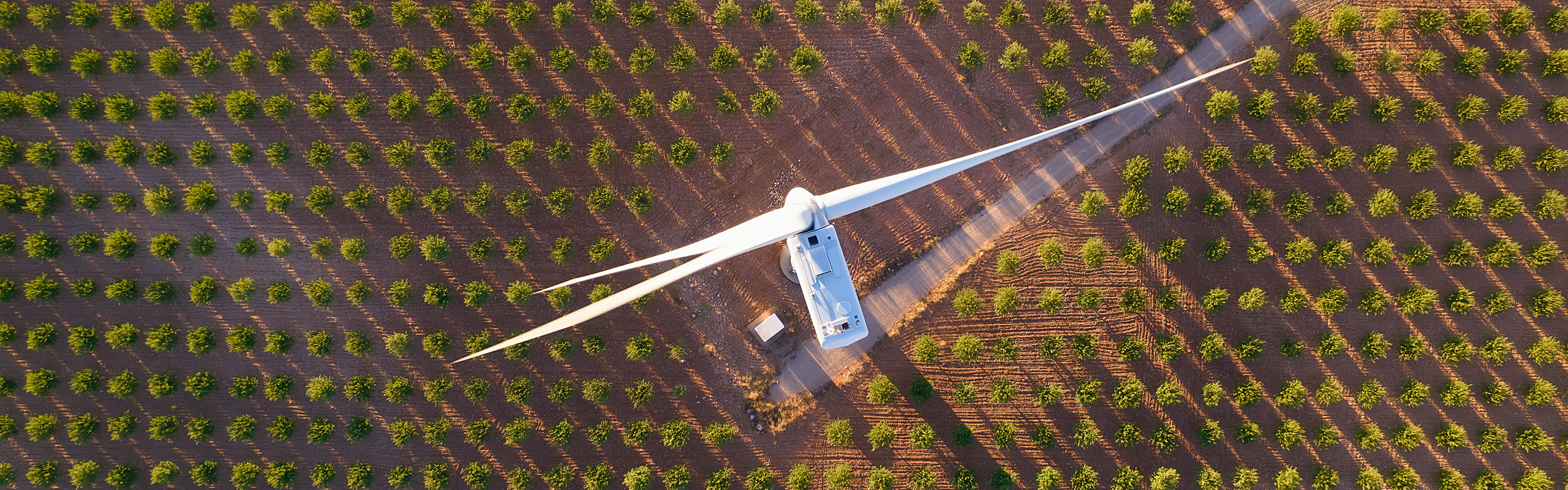 Ammonia can become the CO2-free fuel of the future featured image