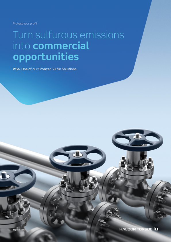 WSA - turn sulfurous emissions into commercial opportunities WSA - turn sulfurous emissions into commercial opportunities