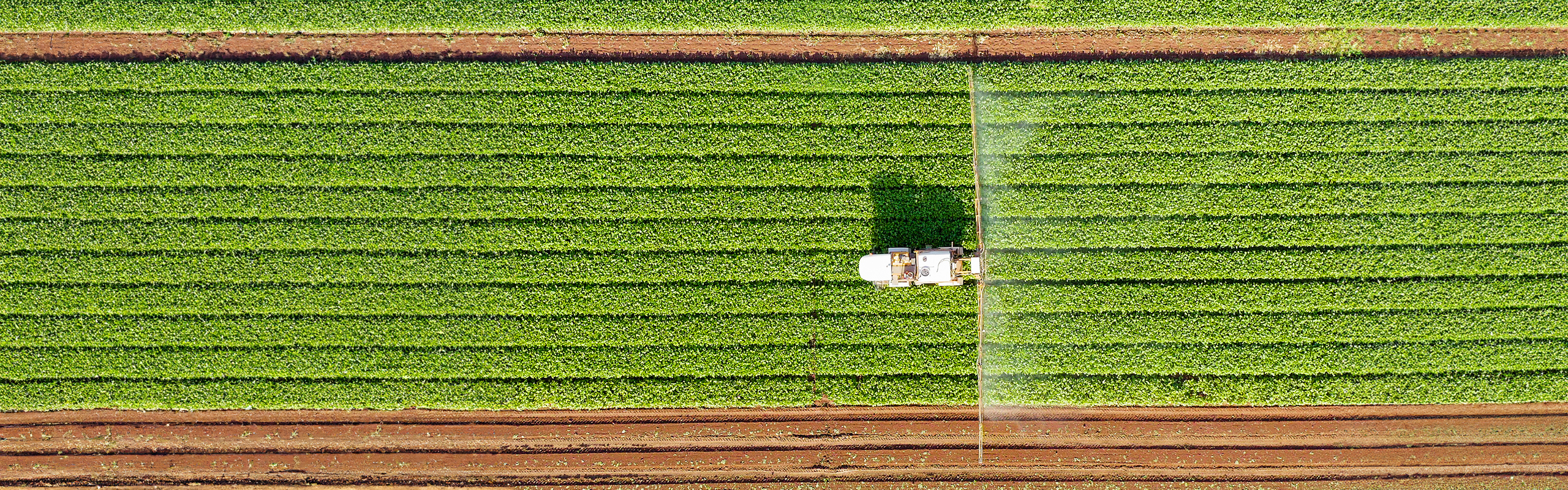 Topsoe signs Memorandum of Understanding for ultra low emission ammonia project in Indonesia featured image