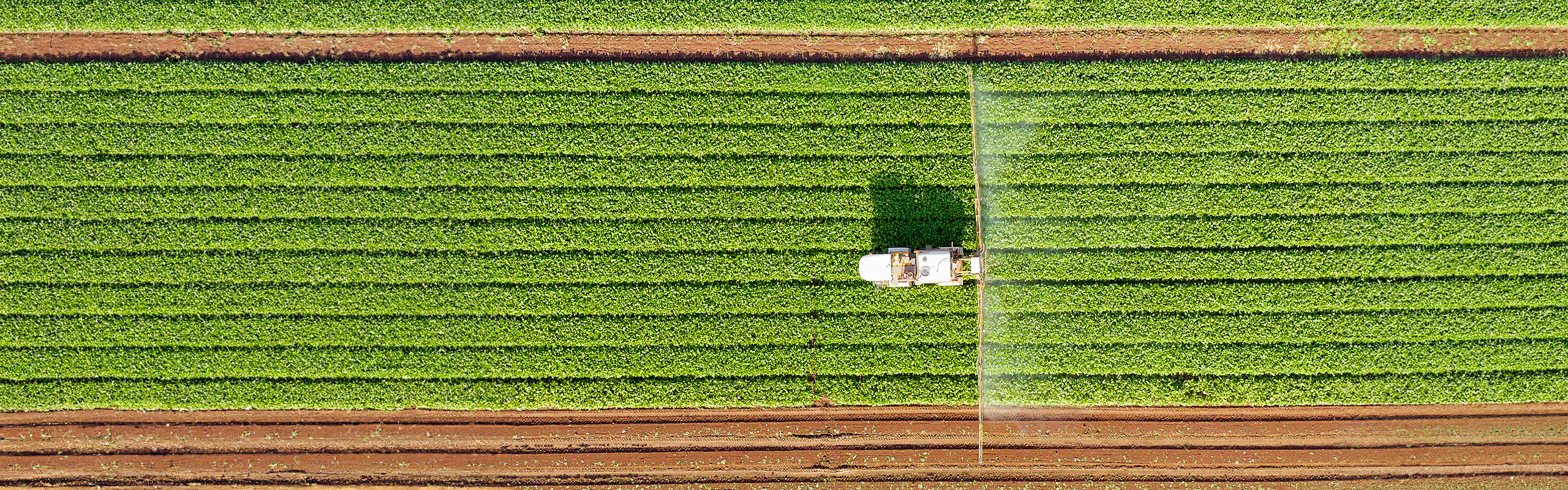 Topsoe is selected technology provider by Indian frontrunner in green ammonia, Hygenco featured image