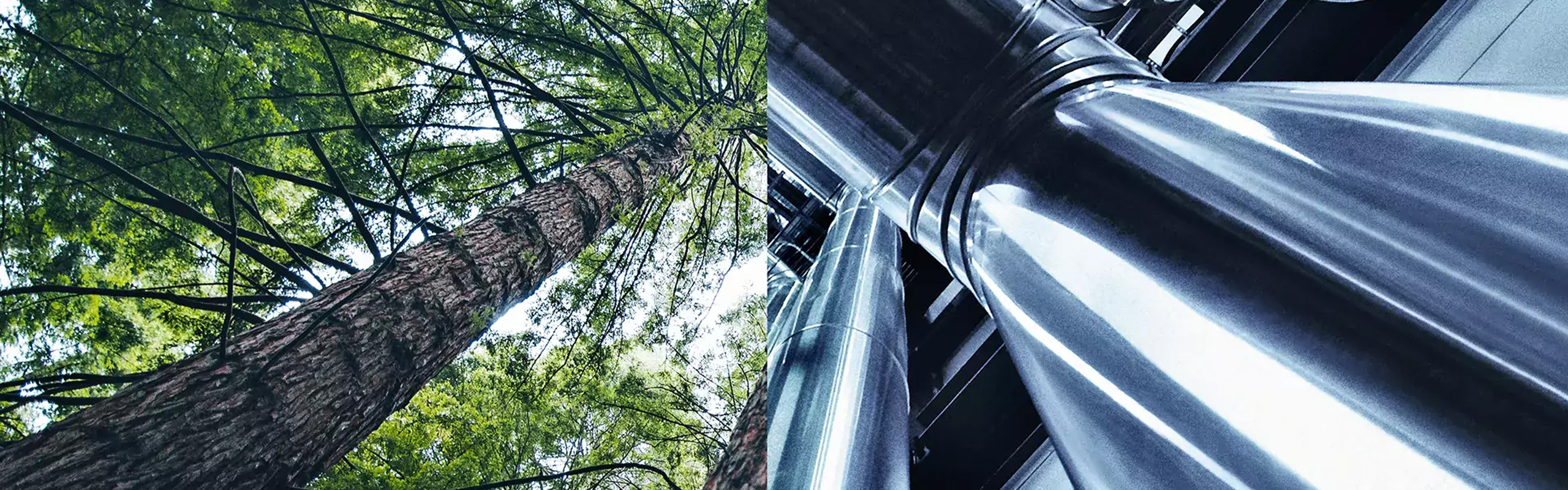 SkyNRG chooses Topsoe’s HydroFlex™ technology for Europe’s first sustainable aviation fuel plant featured image