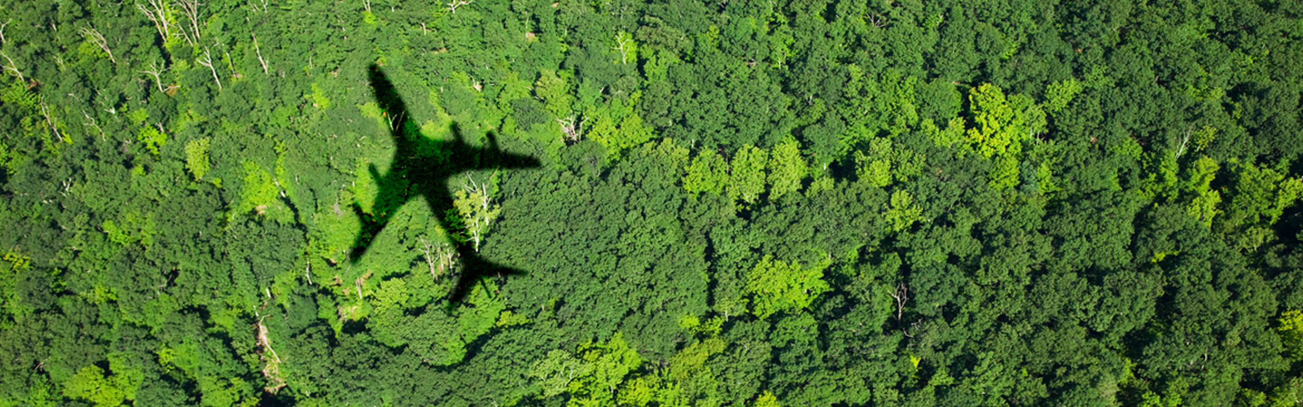 Sustainable aviation fuel from CO2 and renewable electricity - Topsoe receives funding from EUDP for FrontFuel-project featured image