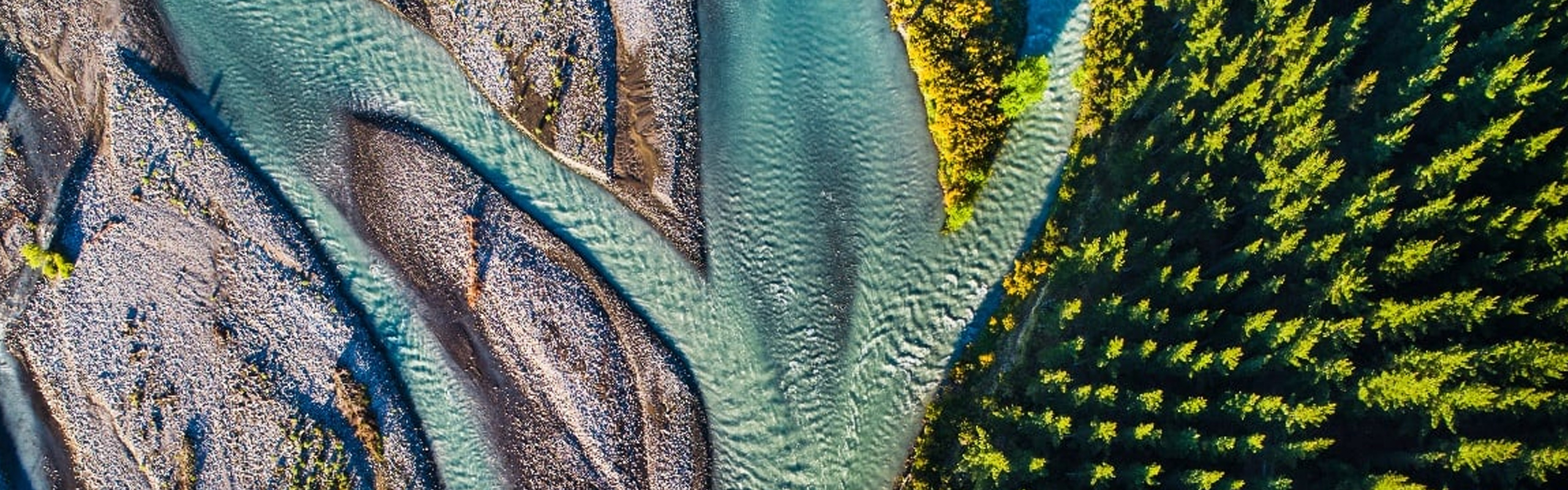 Topsoe selected by World Energy GH2 to supply ammonia loop for Canada’s largest renewable hydrogen plant featured image