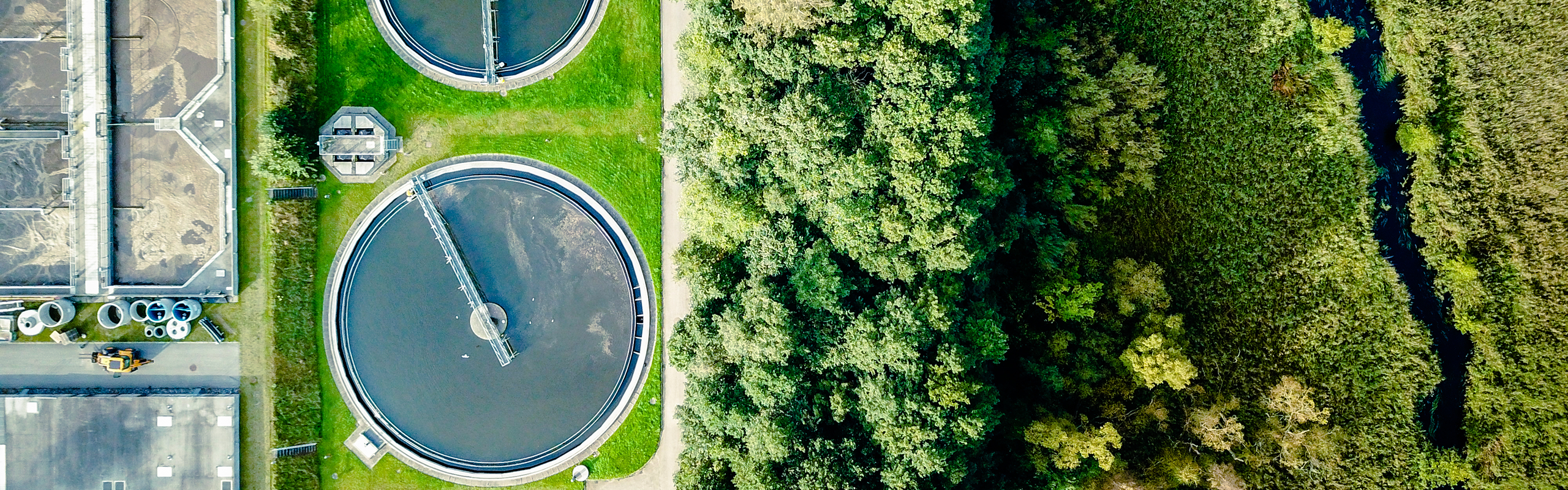 Making next-generation renewable biofuels competitive featured image