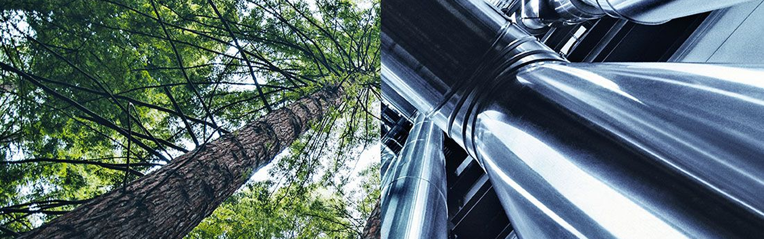 SkyNRG chooses Topsoe’s HydroFlex™ technology for Europe’s first sustainable aviation fuel plant featured image