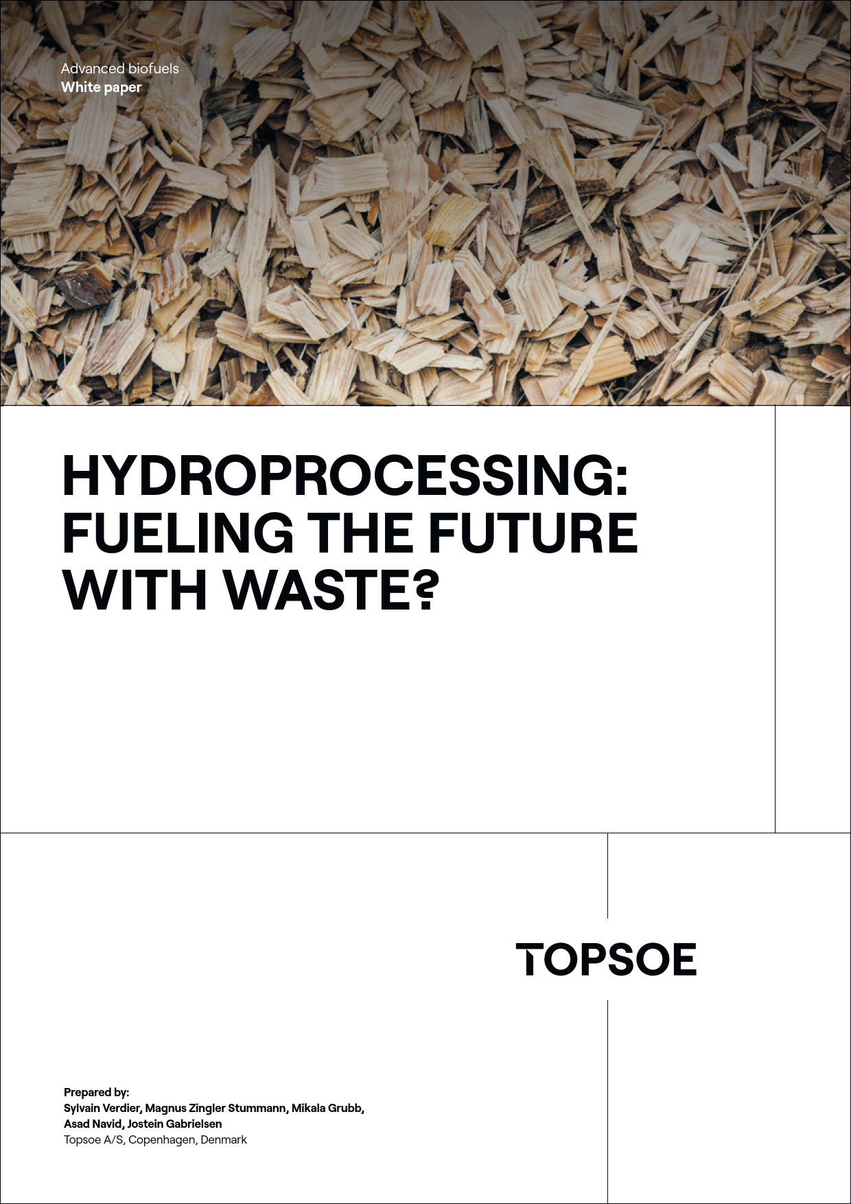 Fueling the future with waste